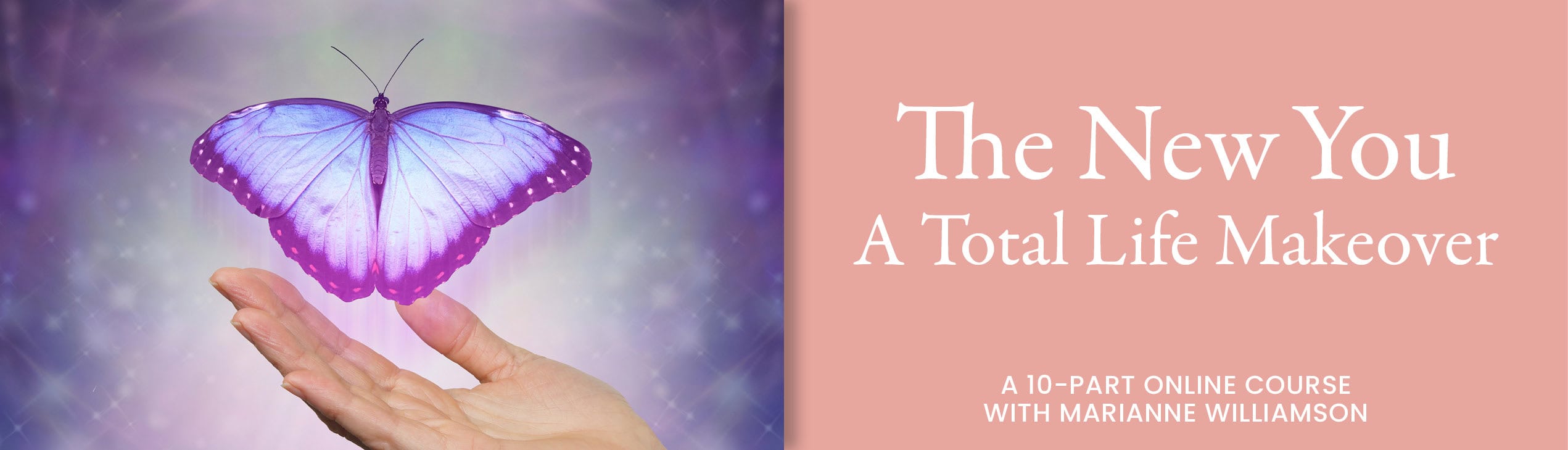 Course Banner_THE NEW YOU